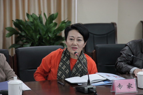 16专家张艳玲对演出进行点评_调整大小