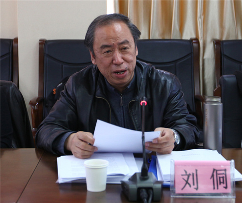 专家组组长刘侗发言