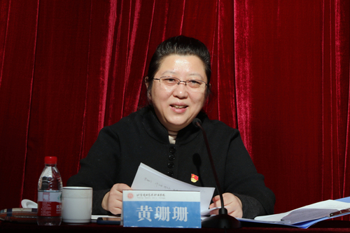 党委书记黄珊珊讲话