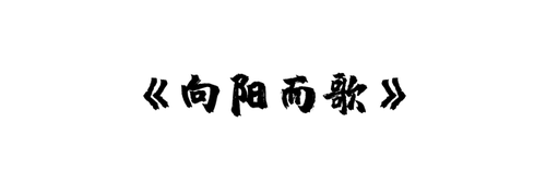 《向阳而歌》
