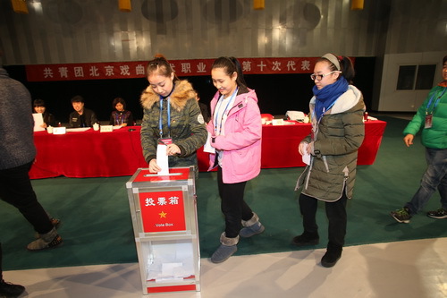 6大会代表投票_调整大小